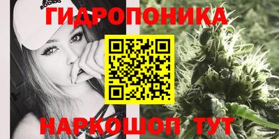 jwh Пенза