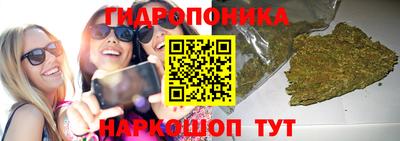 МДПВ Партизанск
