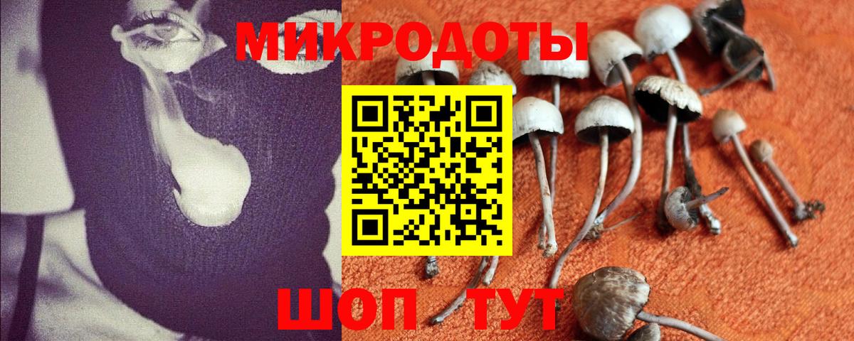 Галлюциногенные грибы мухоморы  Галлюциногенные грибы прущие грибы  Вход с VPN  Севастополь 
